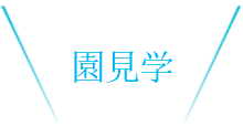 クラブについて